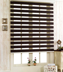 zebra blinds